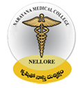 Narayana Medical College