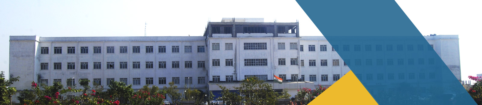 Raipur Institute of Medical Sciences (RIMS)
